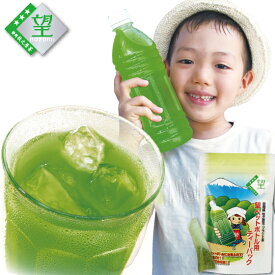 ペットボトル用 お茶 水出し 緑茶 望銀印ペットボトル用ティーパック （3.3g×20包入） お茶 日本茶 荒畑園 ティーパック ティーバック 緑茶 ブランド茶 水出し緑茶 水出し茶 水だし 静岡茶 ペットボトル用ティーバッグ 水だし緑茶 茶 持ち運び