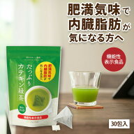 機能性表示食品 たっぷりカテキン緑茶 ティーパック 2g×30包 送料無料 お試し 10日分 肥満気味で内臓脂…