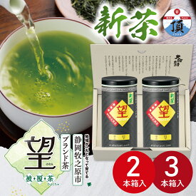 新茶 2024 ギフト箱入り 2本缶 3本缶 水出し茶 水出し緑茶 冷茶 静岡牧之原市ブランド茶 望金印 (100g紙缶入) ギフト プレゼント お茶 緑茶 ギフト 静岡茶 国産 牧之原産 茶葉 日本茶 荒畑園 水出し 水だし 新茶 静岡新茶