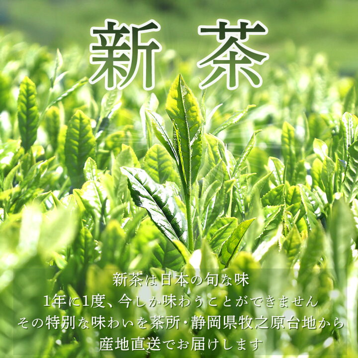 楽天市場】新茶 2025 静岡新茶 えんじ 100g 緑茶 お茶 ギフト 日本茶 