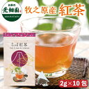 牧之原産紅茶 ティーパック 2g×10ヶ入 静岡県 牧之原産【お茶 日本茶 荒畑園 プレゼント 】 お茶 ティーパック