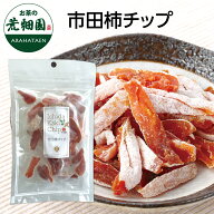市田柿チップ スティック 100g入り 市田柿 柿 ドライフルーツ 和菓子 フルーツ