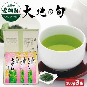 2025 n̏{ 100g Mtg  { r É qVY ÉY Β Mtg v[g lߍ킹 Zbg l hN