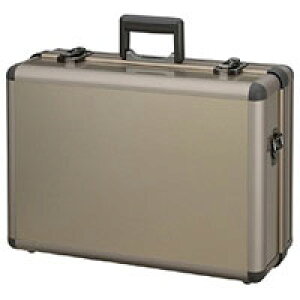 Lm@A~gN CAT-A II@^Canon