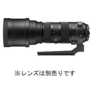 SIGMA TRIPOD SOCKET TS-81