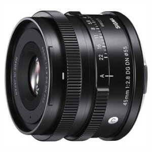 �V�O�} 45mm F2.8 DG DN [�\�j�[E�p]