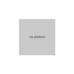 ニコン USBケーブル UC-E22 /Nikon UC-E22