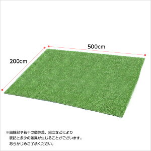 【送料無料】人工芝ガーデンターフ【ARTY-アーティ-】(2x5mロールタイプ)【北海道・沖縄・離島配送不可】