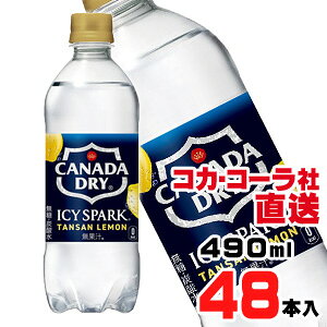 yzyS̃RJER[ВzACV[EXp[N t Ji_hC  PET 490mlx48{i24{x2P[Xj