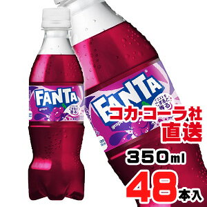 yzyS̃RJER[Вzt@^ O[v PET 350mlx48{i24{x2P[Xj