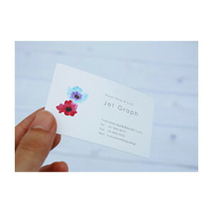 eR[U[ PETtB White FilmizCgtBj A4 195m }bg 100 PWM260