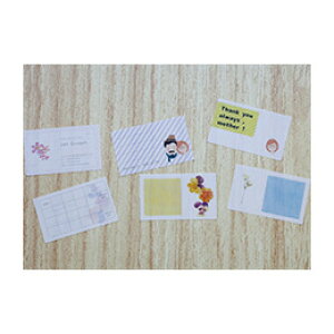 テコレーザー PETフィルム Translucent Film(乳白フィルム) A4 195μm 乳半 100枚 PTM260