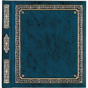 iJoV tGAo@LTCY@pX@ A-LP-12A