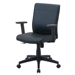 �i�J�o���V ���|�N���U�|�`�F�A�^�u���b�N RZE-300BK