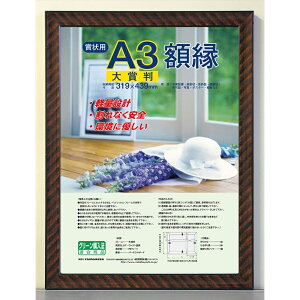 iJoV ܏z@bN@ t-KWP-21