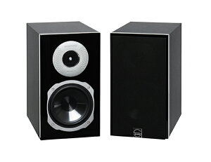 quadral NAh hCc SIGNUM20 BLACK OWG[^[ Ricom  RVO} gDC[^[ ubNVFt Xs[J[