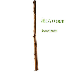 yϖ؁z 2m 60mm mh01 ̊  R VR Cxg 哹 @g̏