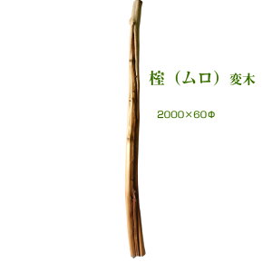 yϖ؁z 2m 60mm mh04 ̊  R VR Cxg 哹 @g̏