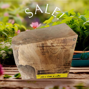 O ؂藎 [ ؍H  Ƌ CeA