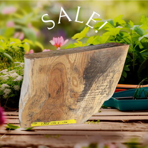 O ؂藎 [ ؍H  Ƌ CeA