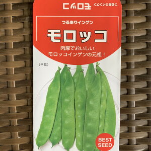 yCQ̃^lz邠胂bR 100~i100jIn܂5{