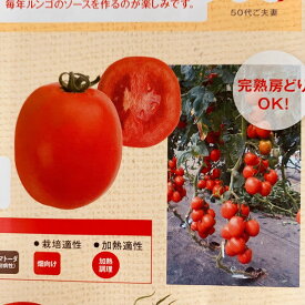 楽天市場 トマト 苗 サントリーの通販