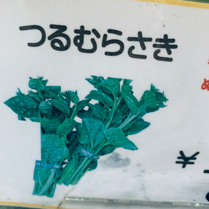 楽天市場 つるむらさき苗 暑さに強い葉物の夏野菜 6 10月収穫 緑茎種 育てやすい 荒川種苗 楽天市場店 楽天市場 つるむらさき苗 暑さに強い葉物の夏野菜 6 10月収穫 緑茎種 育てやすい 荒川種苗 楽天市場店