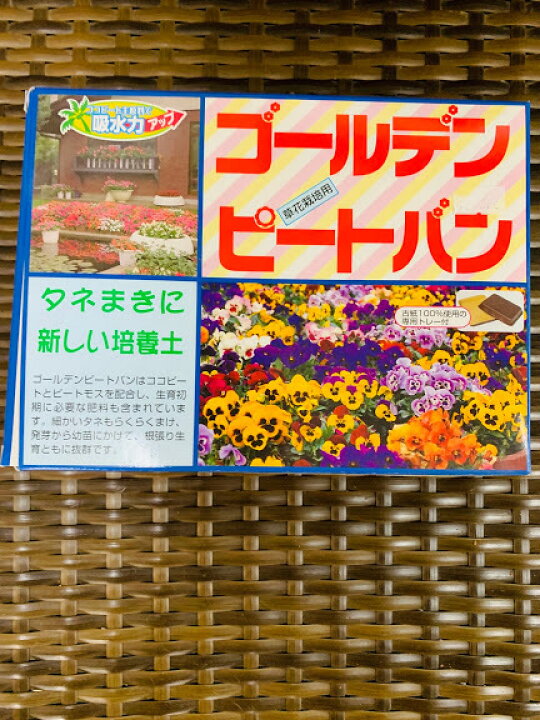 楽天市場】タネまきセット ゴールデンピートバン ピートバンと専用 