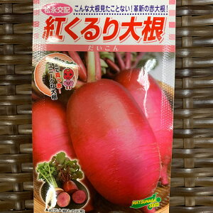 g卪   180i3~bgjOʓԂj[N_CR