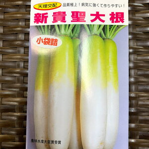 VM 卪  10~i340j @ϐEЕET_łłI@炩Ŕ@9܂@ 񂫂_CR