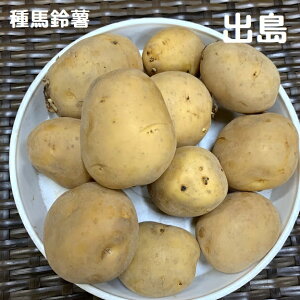 じゃがいも 種の人気商品 通販 価格比較 価格 Com