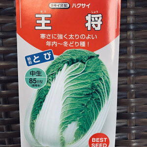  nNTC 2~ 380
