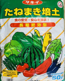 楽天市場 葉物野菜 種の通販