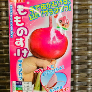 ԃJũ^l@i햼F̂@200i1~bgj