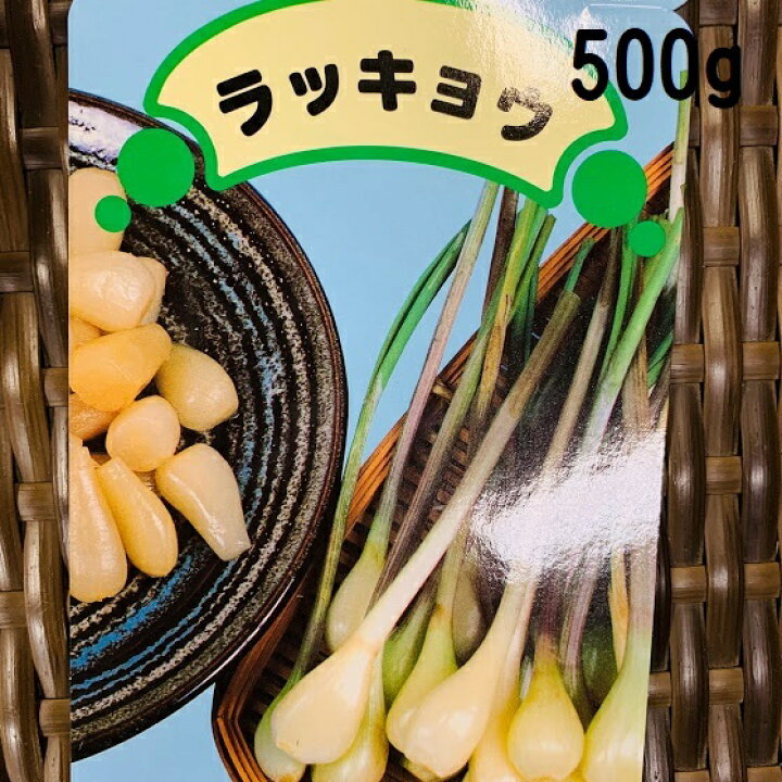 交換無料 種球 ラッキョウの仲間 越のパール 500g 家庭菜園 らっきょう ラッキョウの種 らっきょうの種 こしのパール 九条葱 九条ネギ ハイブリッド 自給自足 植物 Alahlimedical Com Sa 交換無料 種球 ラッキョウの仲間 越のパール 500g 家庭菜園 らっきょう ラッキョウの種 らっきょうの種 こしのパール 九条葱 九条ネギ ハイブリッド 自給自足 植物 Alahlimedical Com Sa