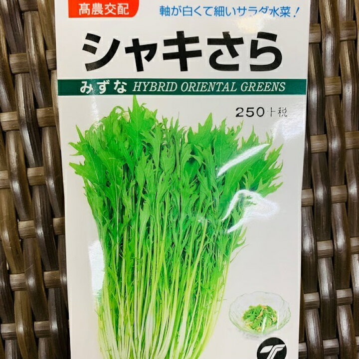 楽天市場 サラダ水菜 種 シャキさら 小袋詰 ミズナ 荒川種苗 楽天市場店