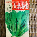 楽天市場 春キャベツの苗 9ポット1苗 品種名 春ひかり七号 春波 タキイ種苗の品種 11月植え 4 5月とり 質は柔らかめ 野菜苗 家庭菜園 荒川種苗 楽天市場店 楽天市場 春キャベツの苗 9ポット1苗 品種名 春ひかり七号 春波 タキイ種苗の品種 11月植え 4 5月とり 質は柔らかめ 野菜苗 家庭菜園 荒川種苗 楽天市場店