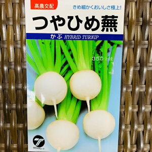 Ђ߃Ju   ߂ׂ͍iɏ