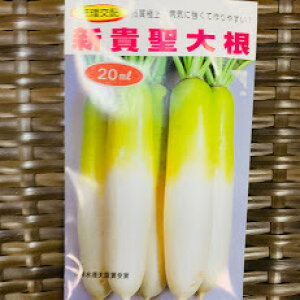 VM 卪  20~i680) ϐEЕET_łłI@炩Ŕ@9܂@@卪@񂫂
