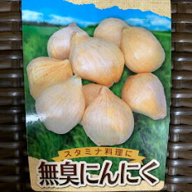 無臭にんにく 球根 種 200g 約12球 8〜11月植え 6〜8月収穫