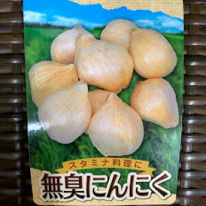 Lɂɂ   200g 12 8`11A 6`8n