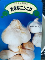 ジャンボにんにく 種 200g （鱗片約5コ） 種はバラした状態 秋植え 6〜7月収穫 島根県産 国産 栽培用 種…