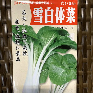 ᔒ̍ @  Ⴍȁ@