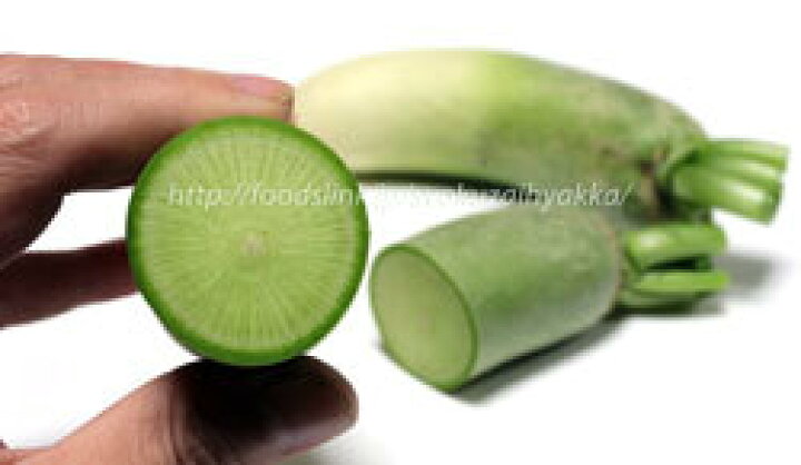 楽天市場 ビタミン大根 種 小袋 青長大根 中国大根 根形１５ ２５ｾﾝﾁくらいの小型のビタミンいっぱいの大根 荒川種苗 楽天市場店