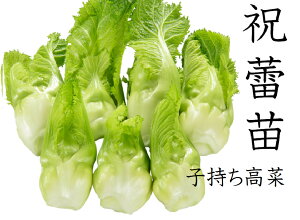 10 jQ キ炢 c 9Z`|bg Ru^Ji q^Ji@H~ؕc  10~11A 12~2n