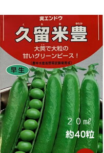 vĖL  18~bg 40 GhE O[s[X 邠