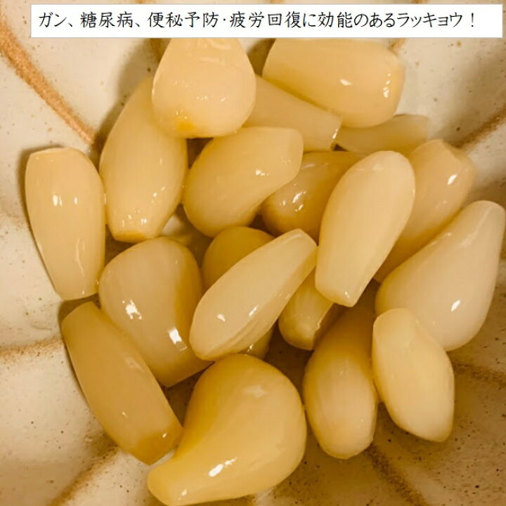 楽天市場 らっきょう 種 球根 ２００g 植え付け約10箇所分 茨城県産 栽培説明レッテル付き 8 9月植え 5 6月収穫 プランター栽培ok メール便につき日時指定不可 比較的場所を選ばず作りやすい 荒川種苗 楽天市場店