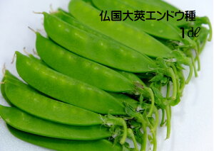 ʂ氓  1fVbg(200j ^LkTGhȆ\ _炩Âĕǂ 11܂ 5~6n@邠 