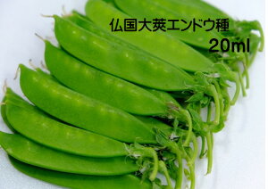 ʂ氓  20~bg(40j ^LkTGhȆ\ _炩Âĕǂ 11܂ 5~6n@邠 