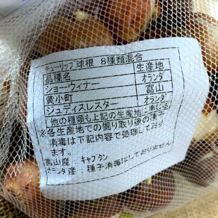 楽天市場 チューリップ球根 送料無料 30球混合30日連続開花 8種類のチューリップ球根が1か月間続けて開花 10 1月植え付け 3 4月開花 荒川種苗 楽天市場店